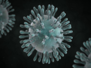 Kerajaan Negeri nafi kes Koronavirus di Melaka