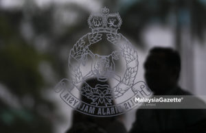 Vui Keong yakin penubuhan IPCMC akan dilulus