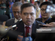 Anthony Loke Siew Fook