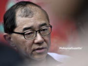 Pemimpin kanan BN beritahu kita patut bersama PN – MCA