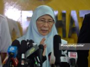 Kerajaan tiada maklumat sukarelawan UM perlu kendali pelajar China – Wan Azizah