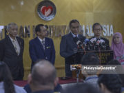 Rakyat Malaysia atas kapal Diamond Princess dirawat di Jepun