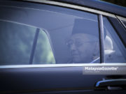 Tun M Menghadap Yang di-Pertuan Agong di Istana Negara