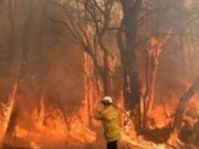 Hutan Bukit Bendera terbakar