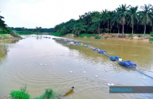 Kilang selenggara mesin punca pencemaran bau Sungai Selangor