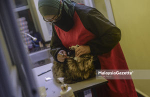 Klinik haiwan boleh beroperasi jika ada temu janji