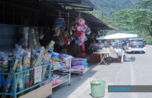 Buka semula sempadan kepada pelancong perniagaan dari zon hijau