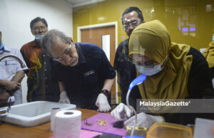 Kita tak mahu ada orang tertinggal – Wan Junaidi