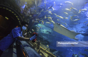 Pusat Aquaria KLCC, Persediaan Awal Mengikut SOP