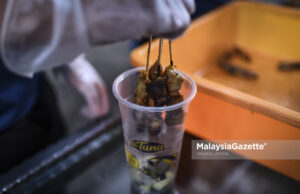 Industri tuna sumber kekayaan baharu negara