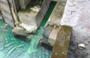 Air sungai bertukar hijau, JAS tutup operasi kilang kacang