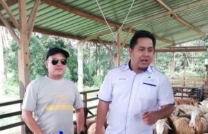 Jadi jutawan melalui sistem pawah moden