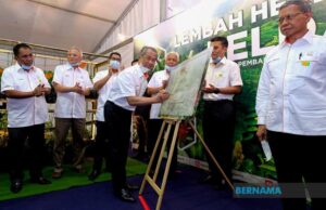 Kerajaan akan terus sokong FELDA untuk bangkit semula – PM