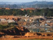 Penebangan hutan Amazon semakin besar dalam 12 tahun