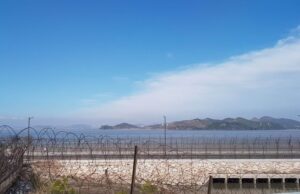 Lelaki berenang rentasi sempadan pulang ke Korea Utara tidak dijangkiti Covid-19