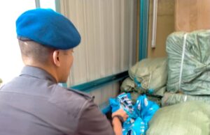 Jual serbuk pencuci pakaian tiruan dalam Facebook tumpas
