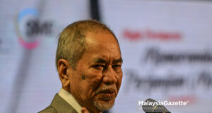 Dr. Wan Junaidi Tuanku Jaafar Pandora Papers