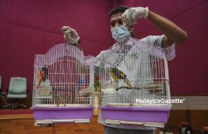 Sidang Media Rampasan Burung di Op Khazanah