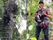 Jibek, kucing peminat sukan lasak