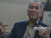 COVID-19, ‘landas’ faktor pengaruhi tarikh PRN Sarawak – Wan Junaidi