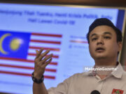 Gerakan sasar 500,000 sokong petisyen henti krisis politik, fokus Covid-19