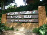Taman Negara Pahang dibuka semula