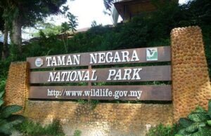 Taman Negara Pahang dibuka semula