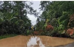 Tanah runtuh, pokok tumbang di Tapah