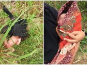 Bayi lelaki ditemukan dalam semak di Bukit Katil