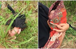 Bayi lelaki ditemukan dalam semak di Bukit Katil