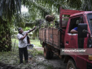 Bantuan RM400 juta untuk peneroka Felda