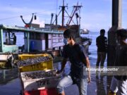 Bekalan ikan dijamin mencukupi pada musim tengkujuh
