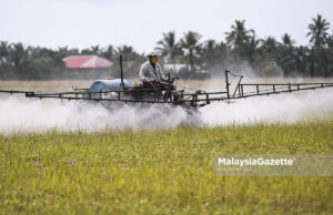 10 syarikat berlesen dikenal pasti bekal benih padi sah