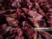 Isu penyeludupan daging di luar bidang kuasa Jakim