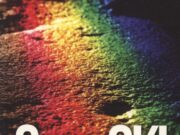 KDN haramkan buku ‘Gay Is Ok! A Christian Perspective dan ‘Peichi’
