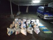Lelaki dipercayai curi anak kerang ditangkap