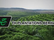 Kerajaan tak jadi jual aset TH Plantation