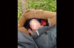 Bayi perempuan baru lahir ditemukan dalam ladang kelapa sawit