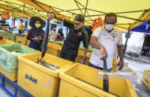 Ikan murah boleh jadi penyelesaian isu kartel daging haram – PPIM