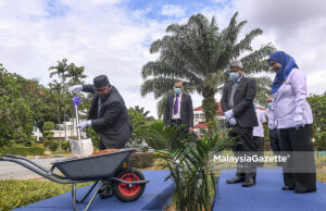 Ladang kelapa sawit beroperasi seperti biasa sekiranya PKP 2.0