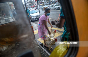 Ayam Hidup Jadi Pilihan Warga Asing di Jalan Barat