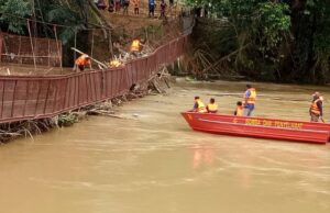 Beberapa daerah di Pahang ibarat lautan ‘teh tarik’