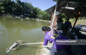 Kaki Pancing Lepas Gian Ngail Ikan #PKP