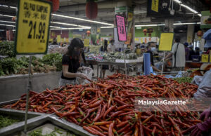 Tiada aduan harga cili merah naik mendadak – Alexander