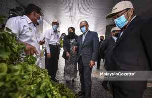 MAFI akui harga sayur-sayuran meningkat sepanjang PKP