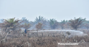 open burning report The members from the Fire and Rescue Department putting out fire at the South Kuala Langat Forest Reserve, Kuala Langat District Compartment 15, Selangor. PIX: SHAFIY ZUL / MalaysiaGazette / 02 MARCH 2021