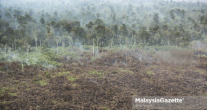 earth Wildfires in the forest reserve at Kuala Langat Selatan, Banting, Selangor. PIX: AFIQ RAZALI / MalaysiaGazette / 23 APRIL 2020 climate change environment