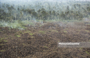 earth Wildfires in the forest reserve at Kuala Langat Selatan, Banting, Selangor. PIX: AFIQ RAZALI / MalaysiaGazette / 23 APRIL 2020 climate change environment