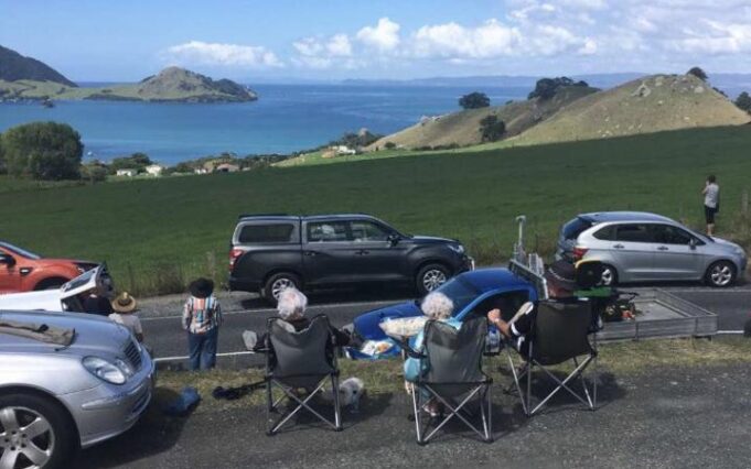 nz