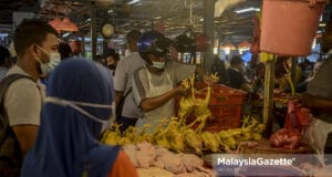 chicken price wet market harga ayam ceiling price KPDNHEP